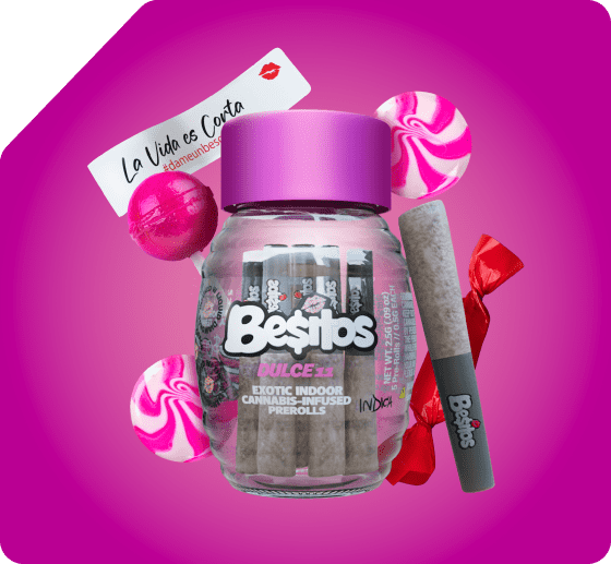 besos 2g disposable real or fake
